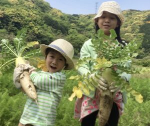 子供　野菜