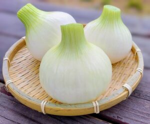 玉ねぎ
