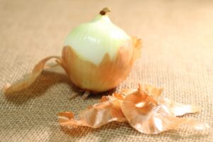 玉ねぎの皮
