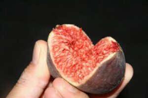 いちじく カロリー 一個