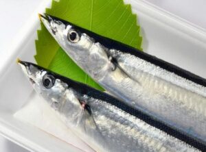 秋刀魚カロリー