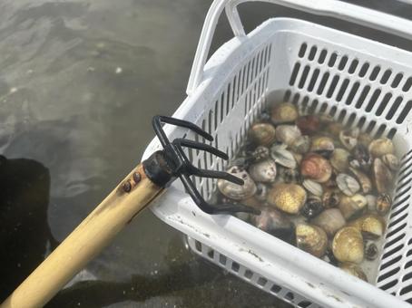 はまぐりの砂抜き