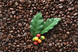 コーヒー豆や茶葉