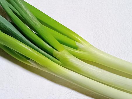 固いネギ