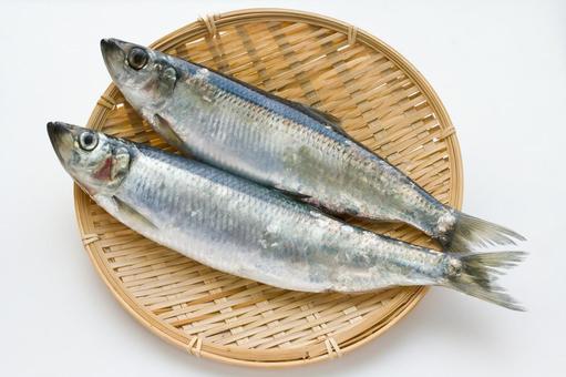 にしん