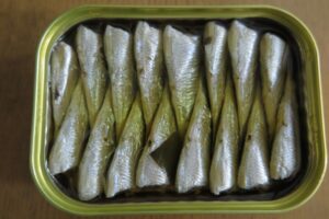 天橋立オイルサーディン
