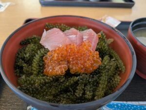 海ぶどう　海鮮丼