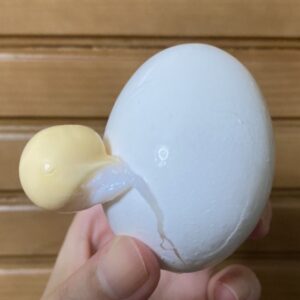 ゆで卵　失敗
