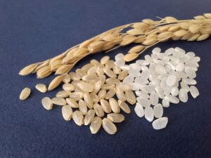 玄米と白米