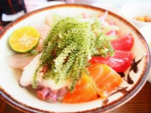 海ぶどう