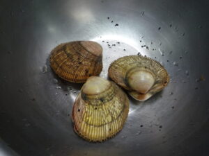 宮津湾天然とり貝