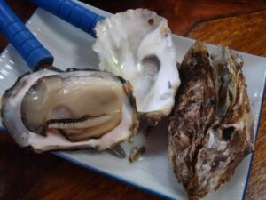 岩ガキ 開け方
