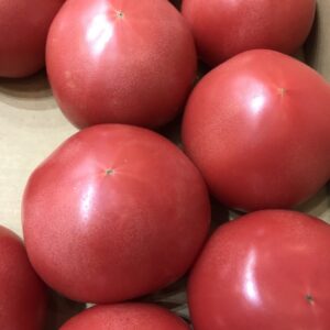 完熟トマト