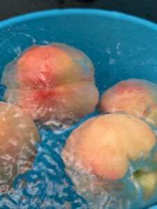 桃 皮 むき方
