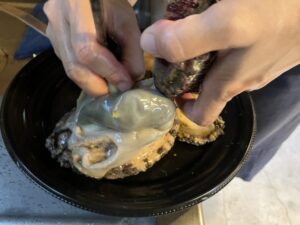 アワビ下処理