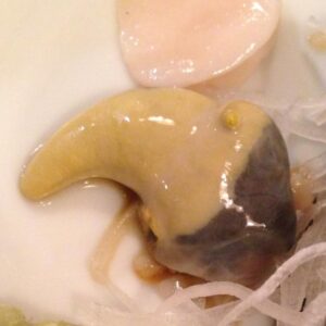 アワビ　肝