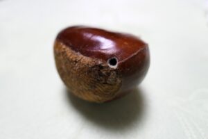 栗の虫の穴
