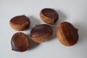 栗の虫の穴