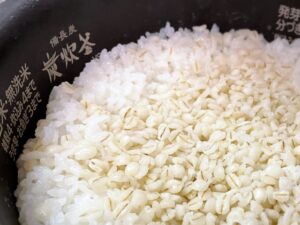 麦ごはん