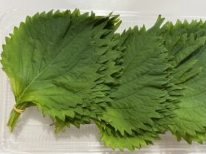 大葉