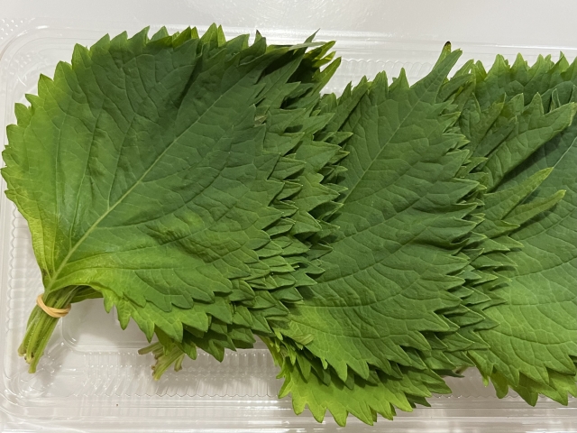 大葉