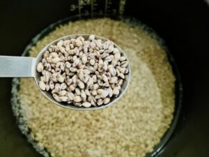 麦ごはん