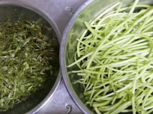 さつまいもの茎