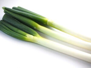 長ねぎ