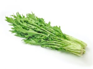 水菜