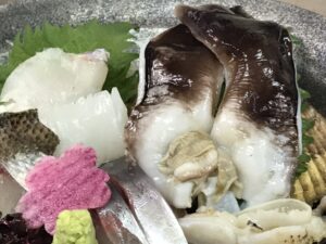丹後とり貝　刺身