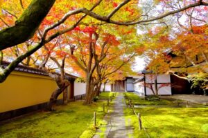 京都 秋