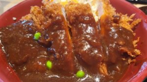 岡山デミカツ丼