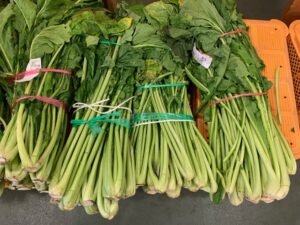 野沢菜